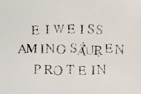 Eiweiß Protein Aminosäuren Eiweiß Protein Aminosäuren