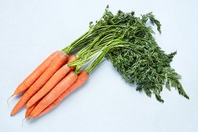 Ein Bund Karotten 